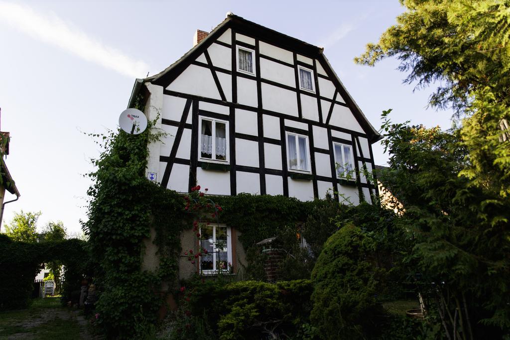 Pension Altstadt 보르나 외부 사진